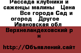 Рассада клубники и саженцы малины › Цена ­ 10 - Все города Сад и огород » Другое   . Ивановская обл.,Верхнеландеховский р-н